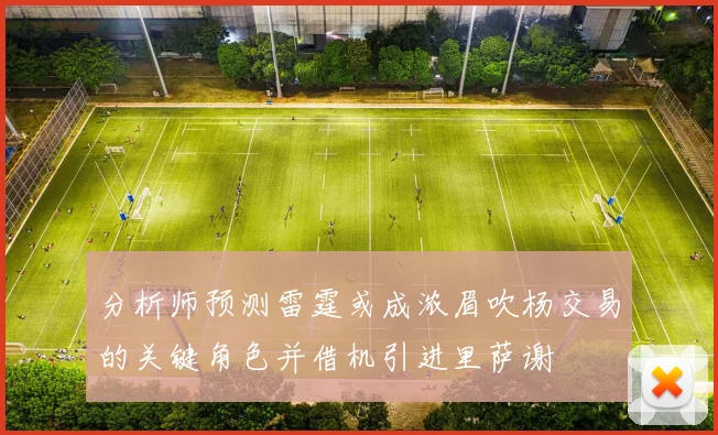 分析师预测雷霆或成浓眉吹杨交易的关键角色并借机引进里萨谢