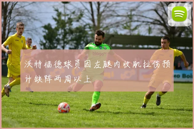 沃特福德球员因左腿内收肌拉伤预计缺阵两周以上