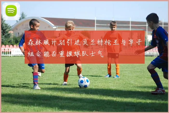 森林狼计划引进莫兰特枪王与华子组合能否重振球队士气