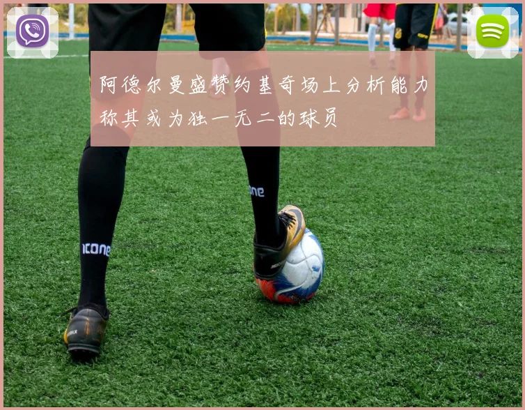 阿德尔曼盛赞约基奇场上分析能力称其或为独一无二的球员